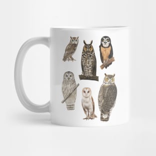 A Parliament Of Owls Mug